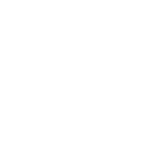 TEMPERED GLASS icon