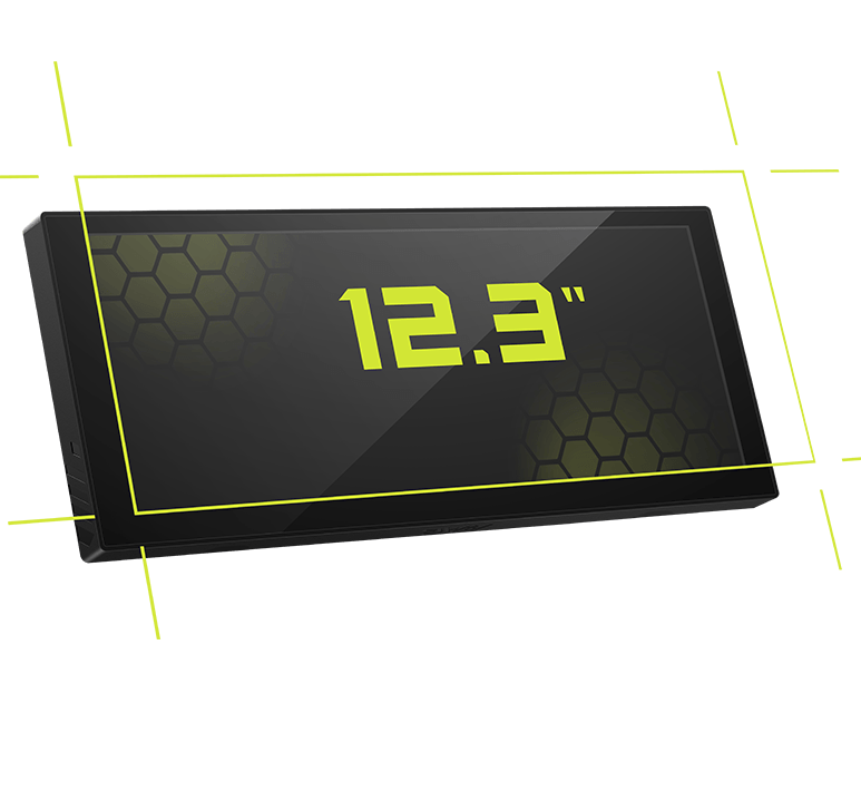 12.3 inch dispaly panel