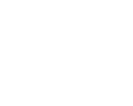 icon ips lcd panel