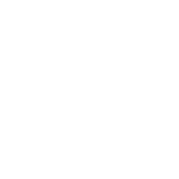 icon digi display