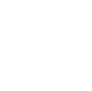 icon pogo pin