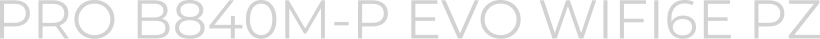 PRO B840M-P EVO WIFI6E PZ