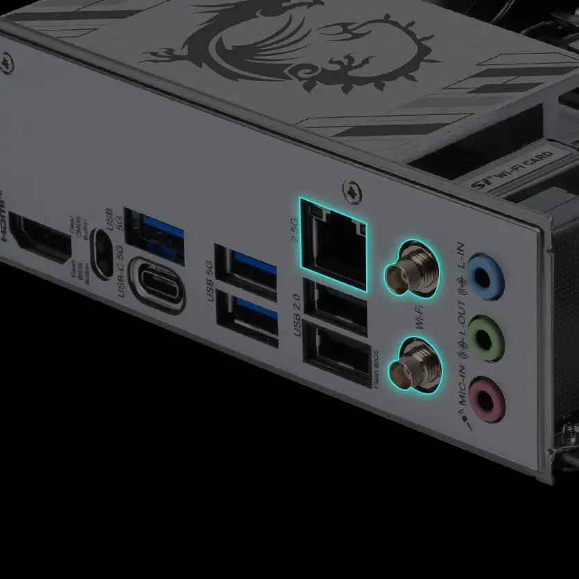 High-Bandwidth Networking