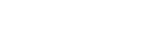 icon connect