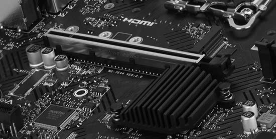 thumbnail of STORAGE