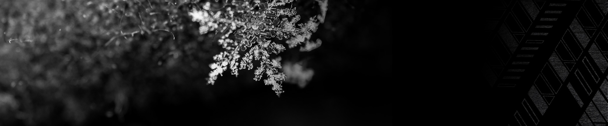 Frozr散熱設計