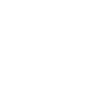 icon 10 LAN