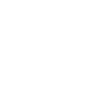 icon digital pwm