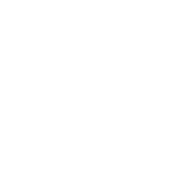 icon Type-C 40G