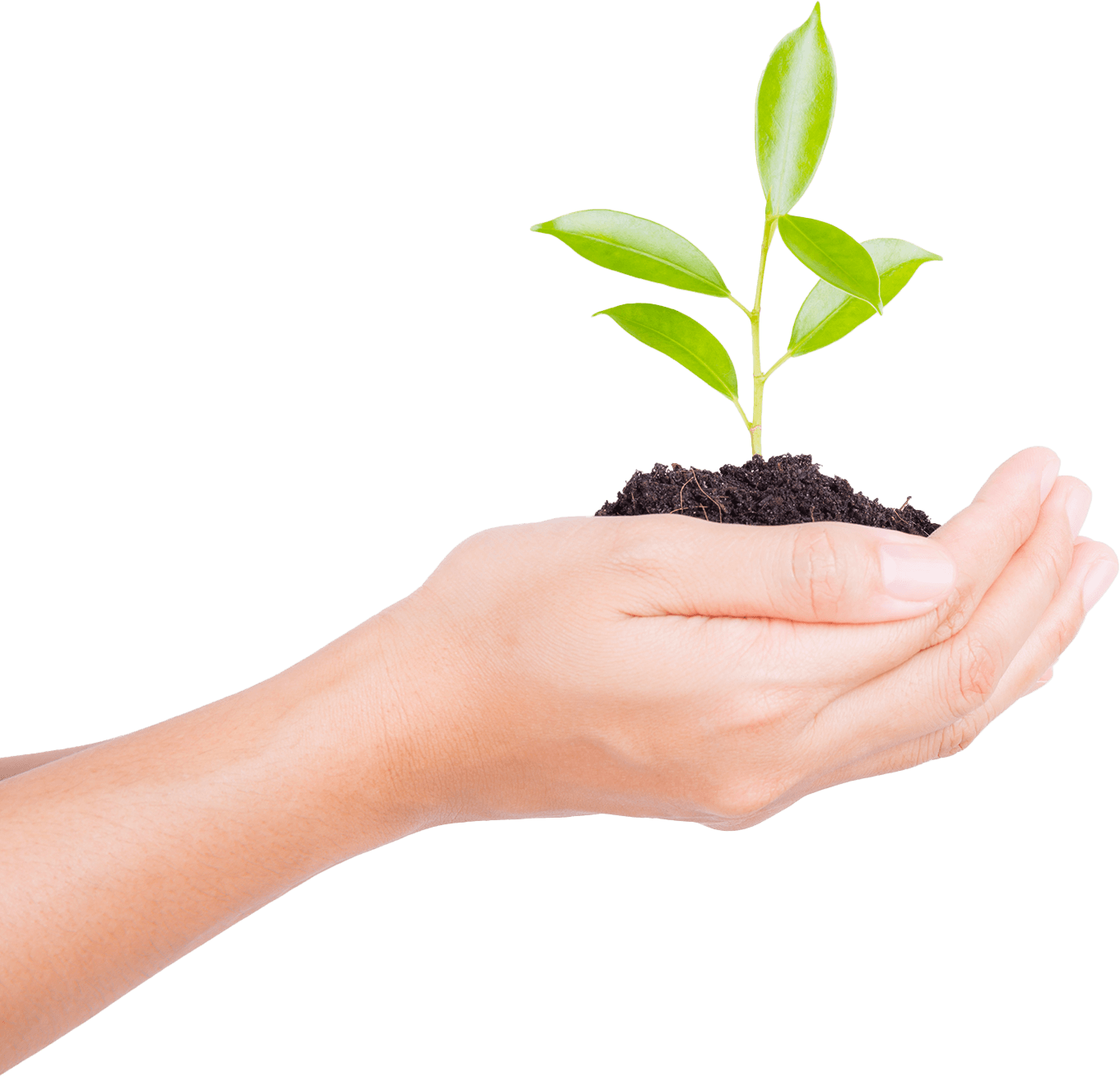 MSI WiFi 6E Technology