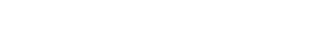 MAG MT101DG