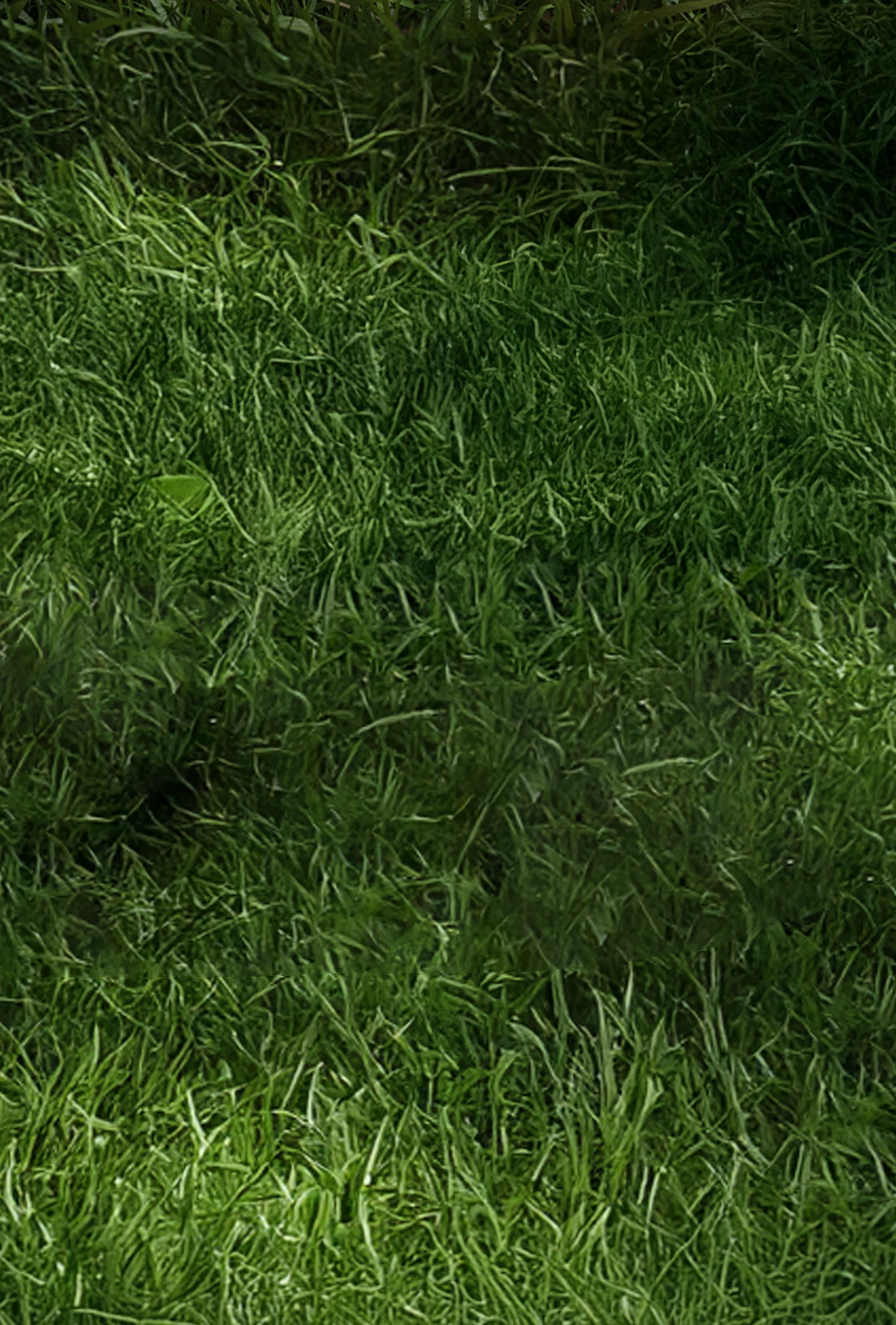 Sustainable Packing Solutions background