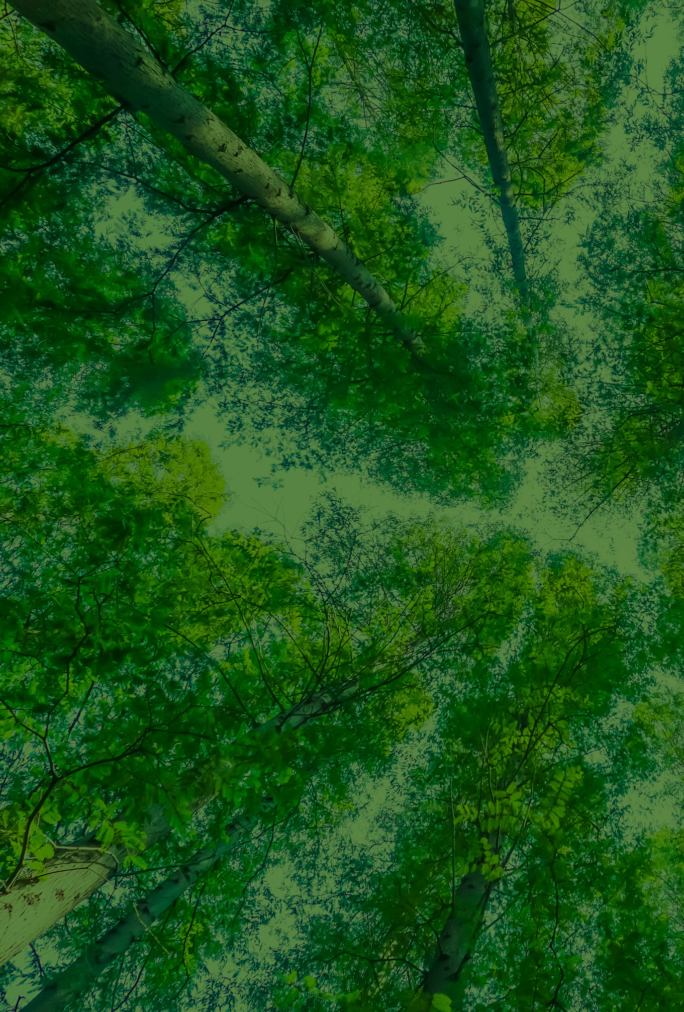 Power Saving Product background