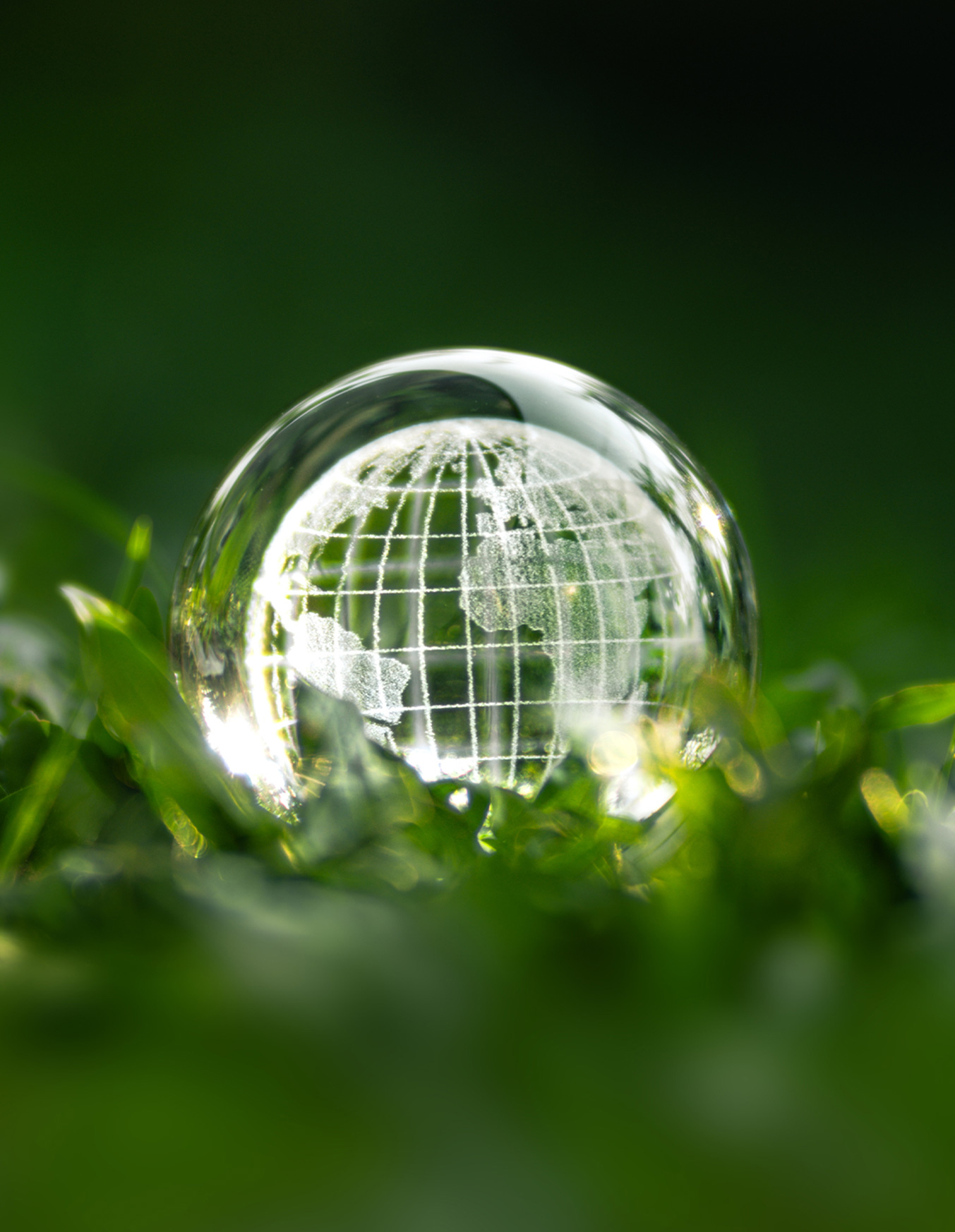 TCO Certified: Proven Sustainability and Quality