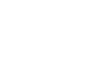 MSI slimb icon