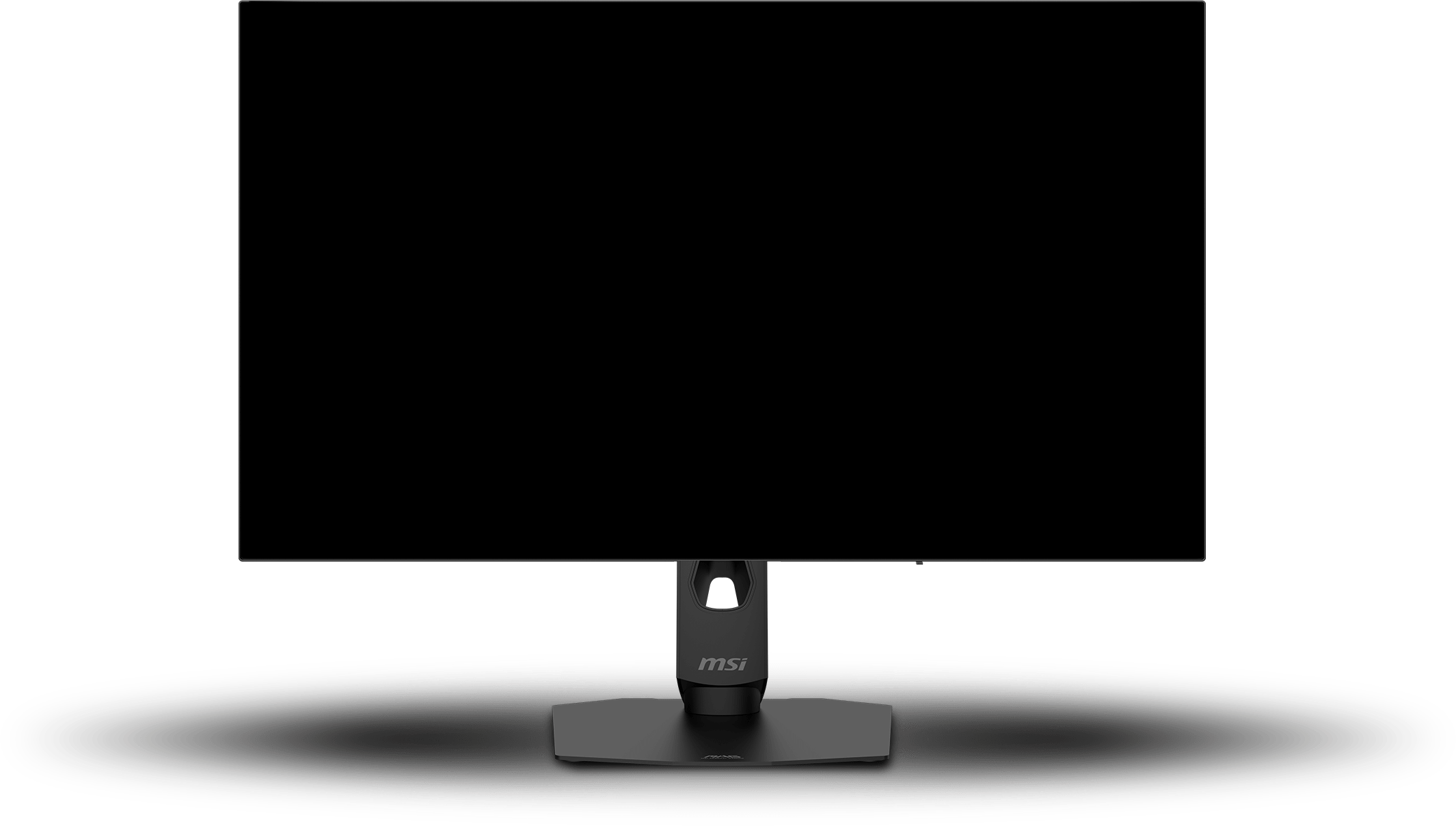 MSI Aspect Ratio Monitor