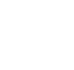 MSI EXCLUSIVE icon