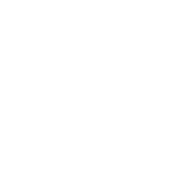 DisplayPort 2.1a icon