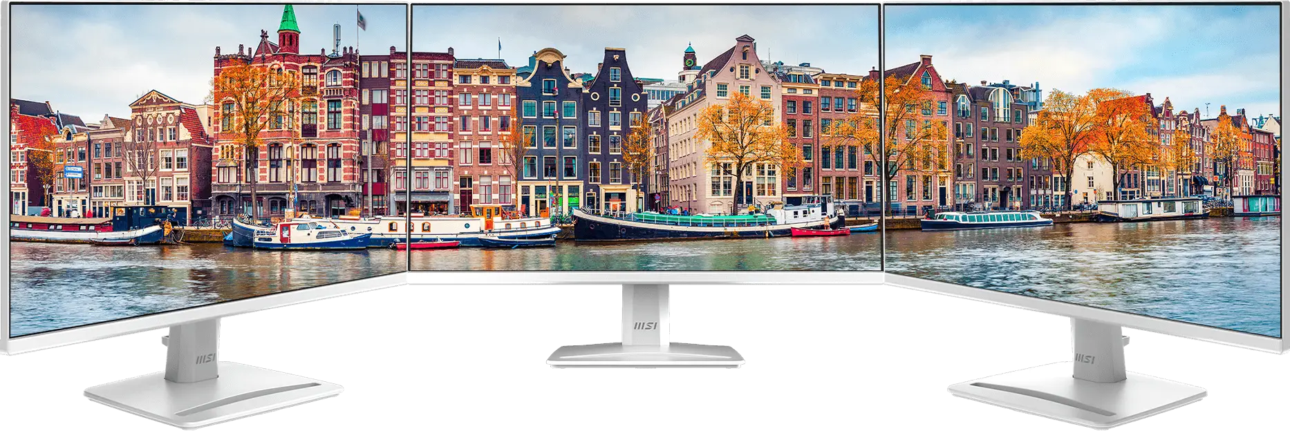 輕薄呈現完美視野