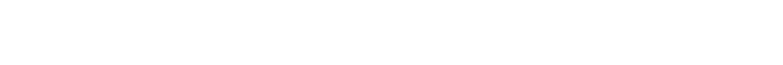 MAG 255F X24 SPEC Title