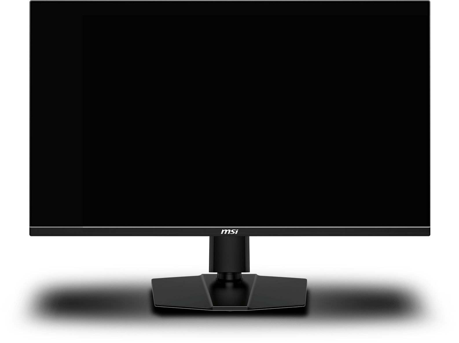 MSI Aspect Ratio Monitor