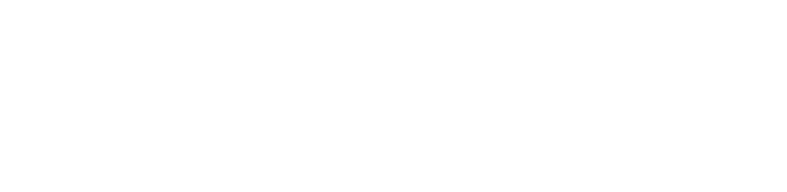 MEG X title