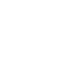 MSI slimb icon