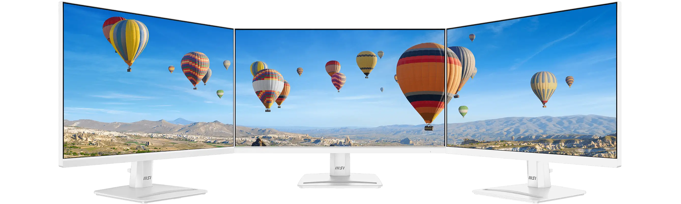 מסך מחשב עסקי 24.5 PRO MP251W E2 מבית MSI