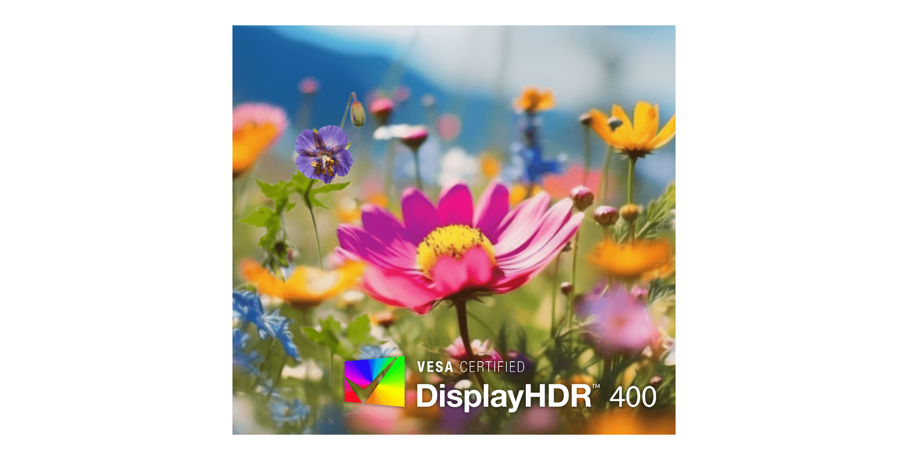 PRO MP273QP E14 VESA DisplayHDR 400