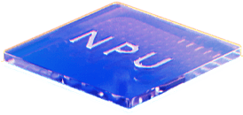 NPU