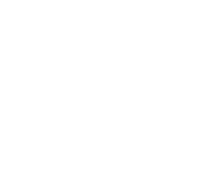 msi Matrix-Display