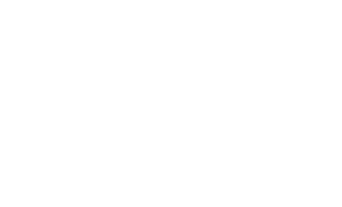 MSI dts icon