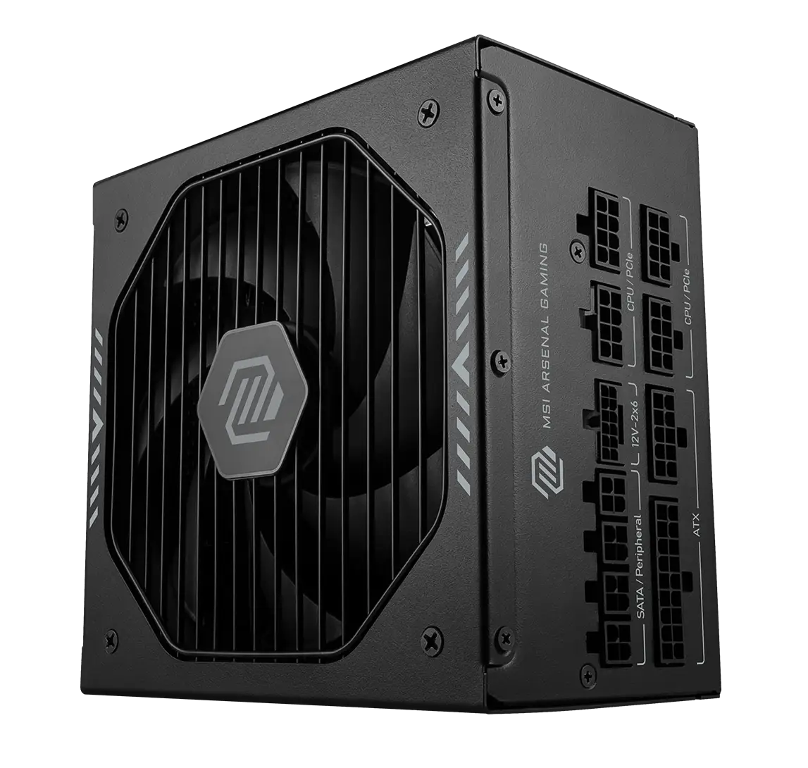 MAG A1000GLS PCIE5