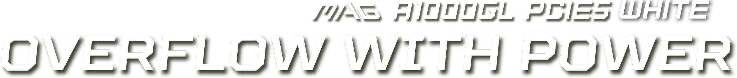 MSI MAG A1000GL PCIE5 Overflow with Power