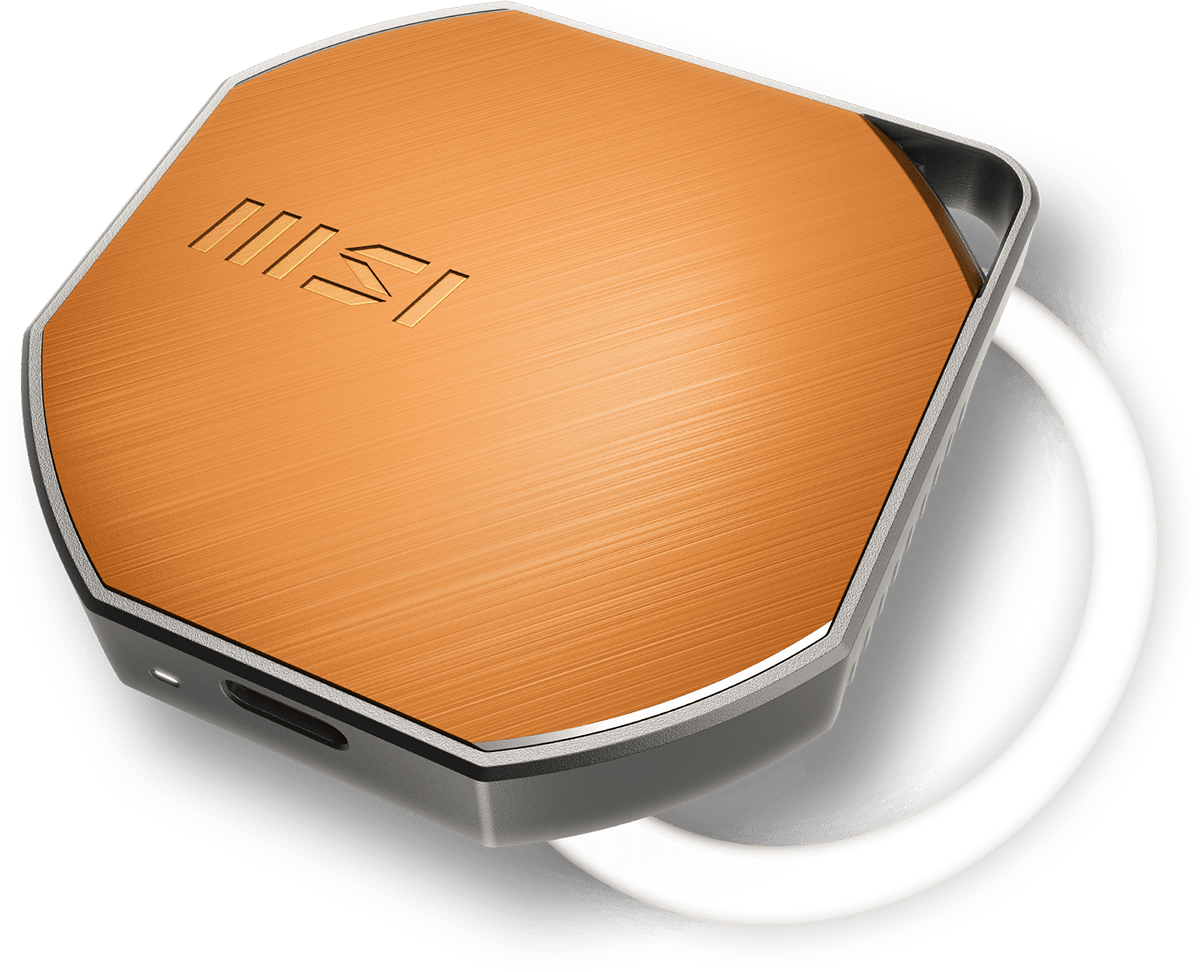 MSI Datamag Lite 40G
