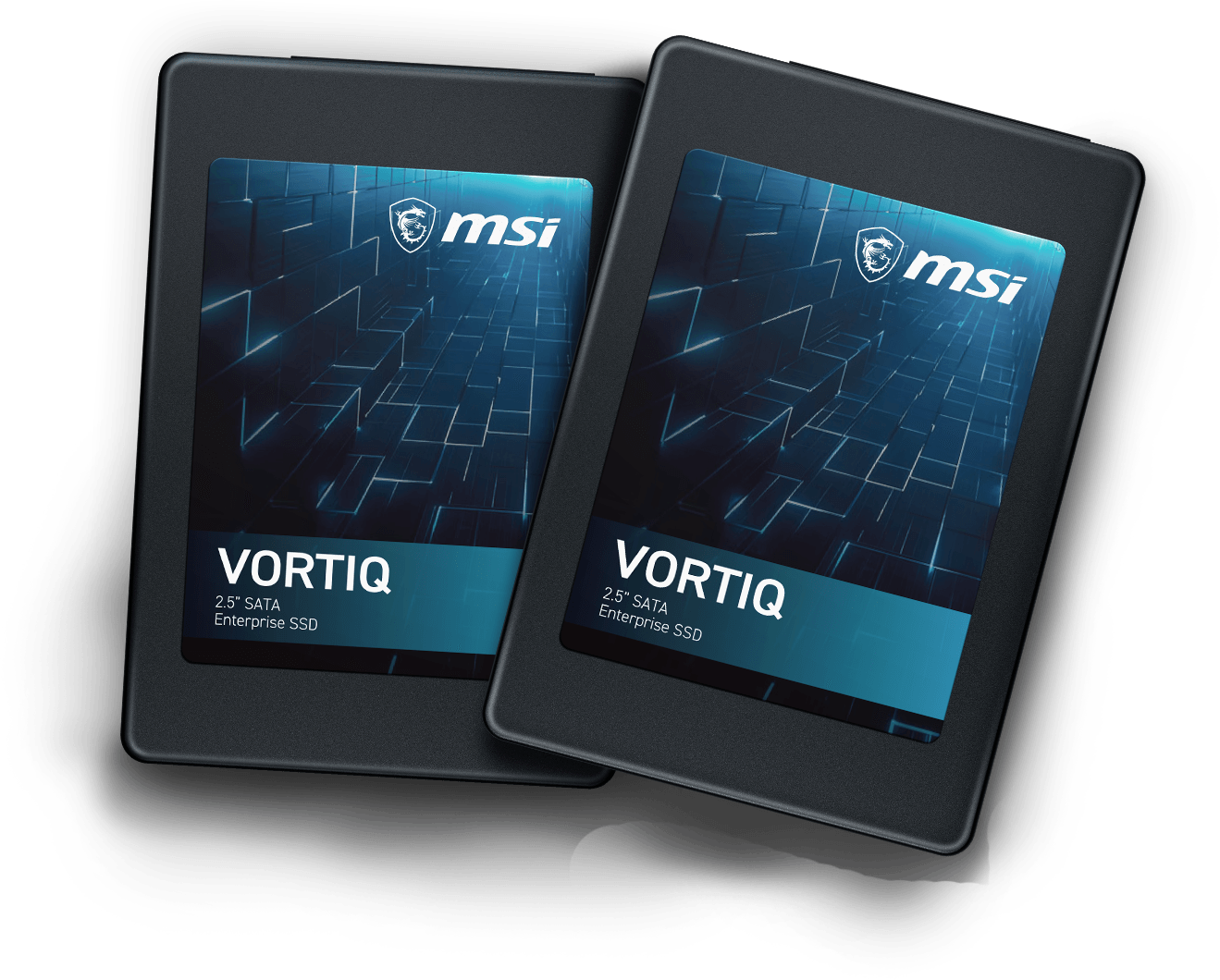 MSI Vortiq High-Capacity Storage Solutions