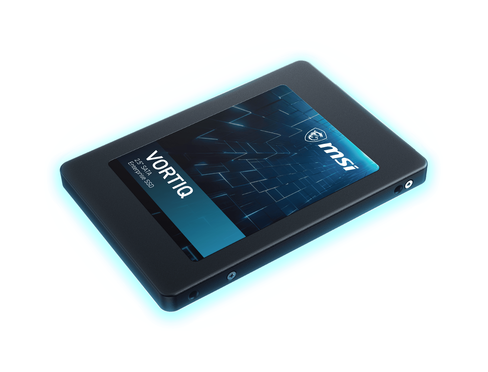 VORTIQ E21SYMWT SATA - Optimized Power Efficiency pd picture