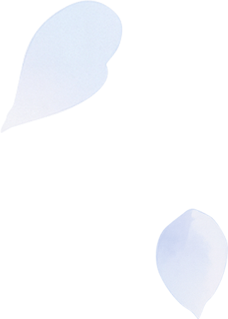 Frieren Edition Flower Decoration