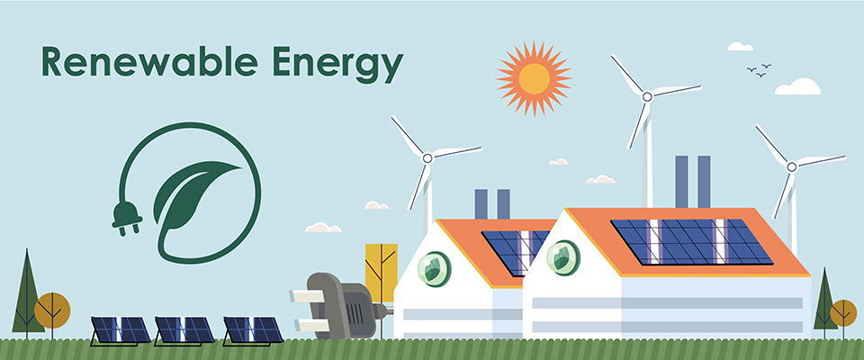 FSC™-Certified Packaging: Supporting Responsible Forestry