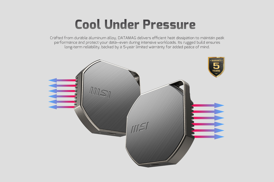 MSI DATAMAG SSD