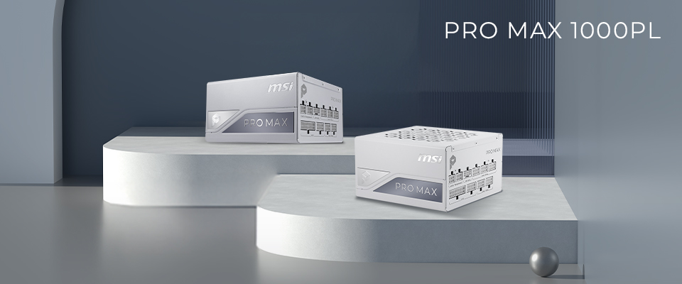 Fuente de Poder: PRO MAX 1000PL