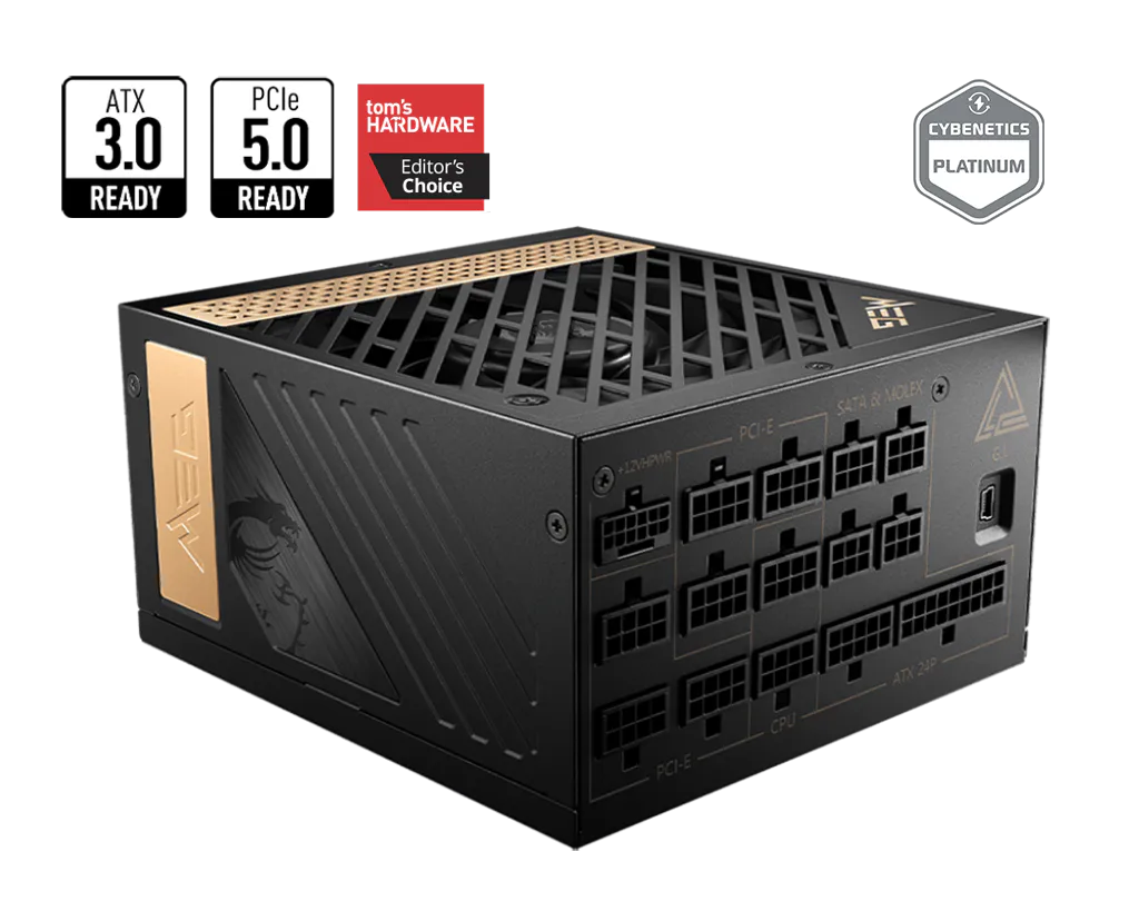 MEG Ai1000P PCIE5