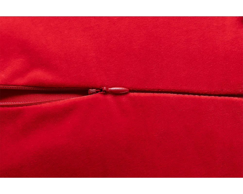 Lucky Mascot Cushion