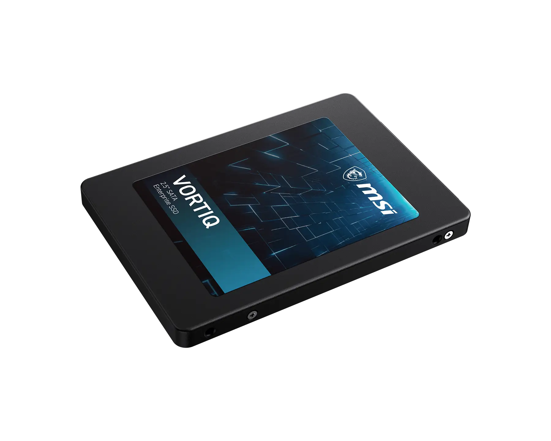 VORTIQ E21SYMWT SATA