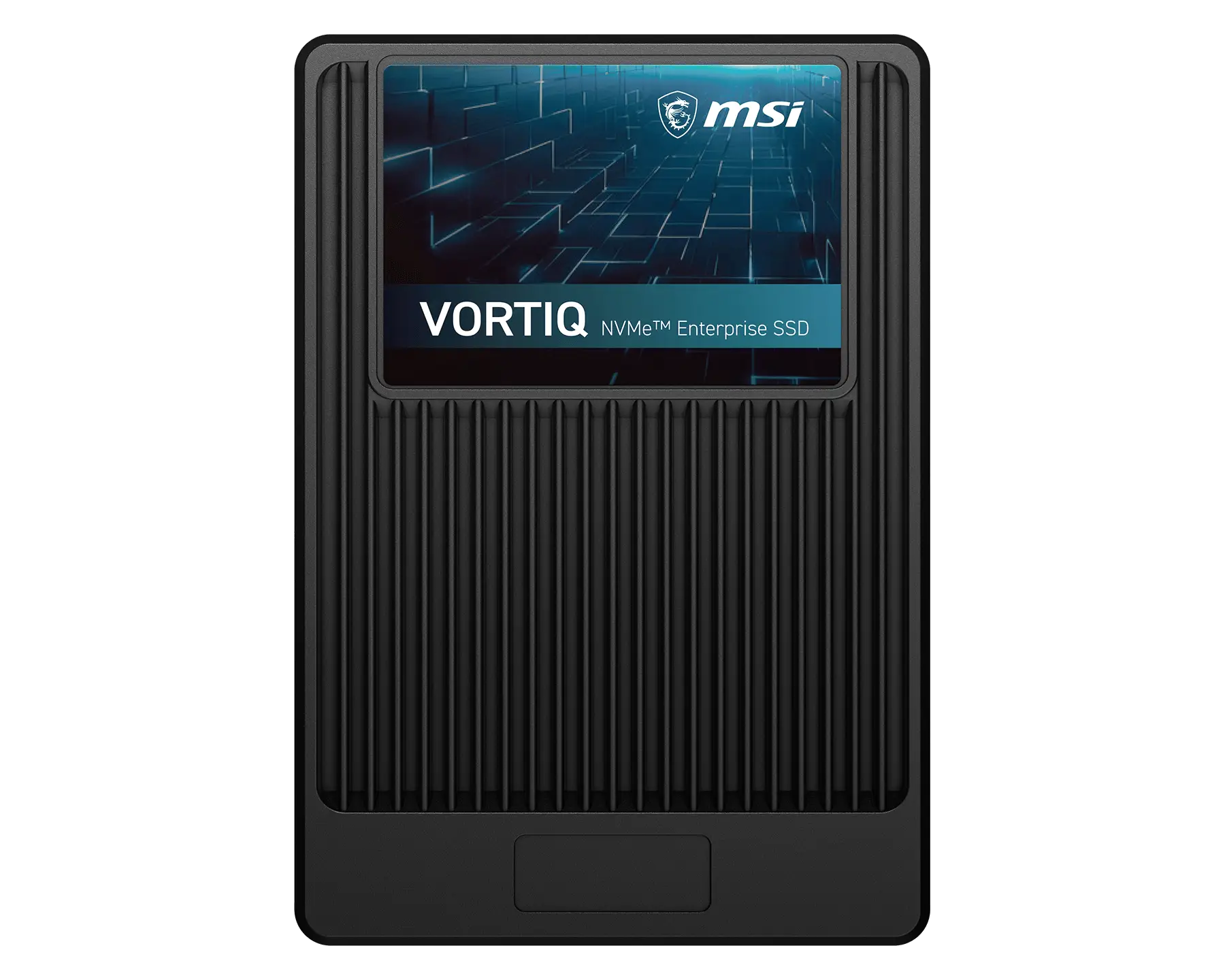 VORTIQ E43XHYV6 U.2