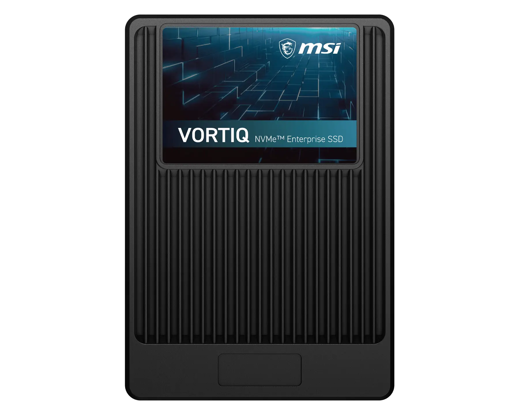 VORTIQ E51XHYV7 U.2