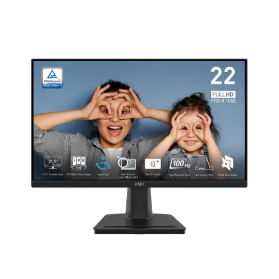 msi mp225 productivity monitor