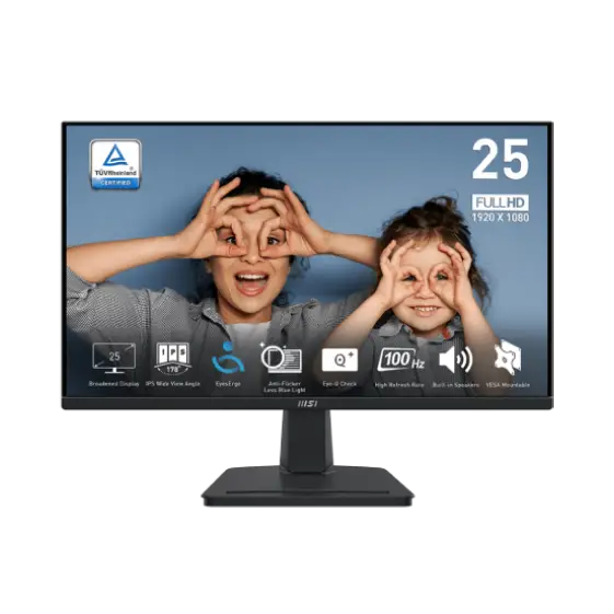 msi MP251 productivity monitor