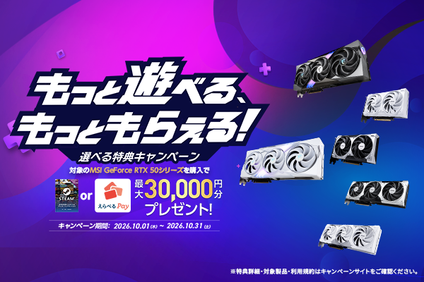 エムエスアイコンピュータージャパン