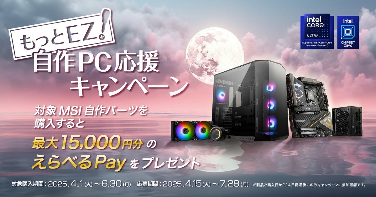 電磁パルスキャンペーン 電磁パルスキャンペーン